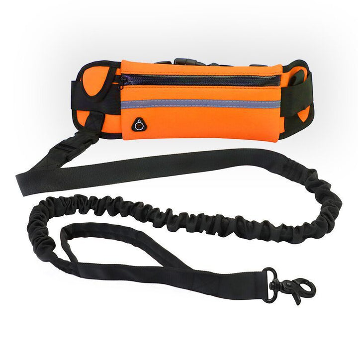 The Ultimate Pet Purse Leash for Dog Walking