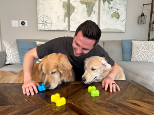 Keeping Pets Happy with Toys