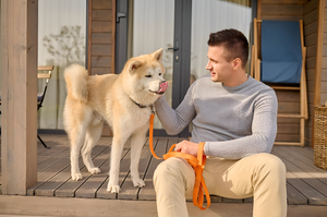 Leashes and Harnesses for Safe Adventures