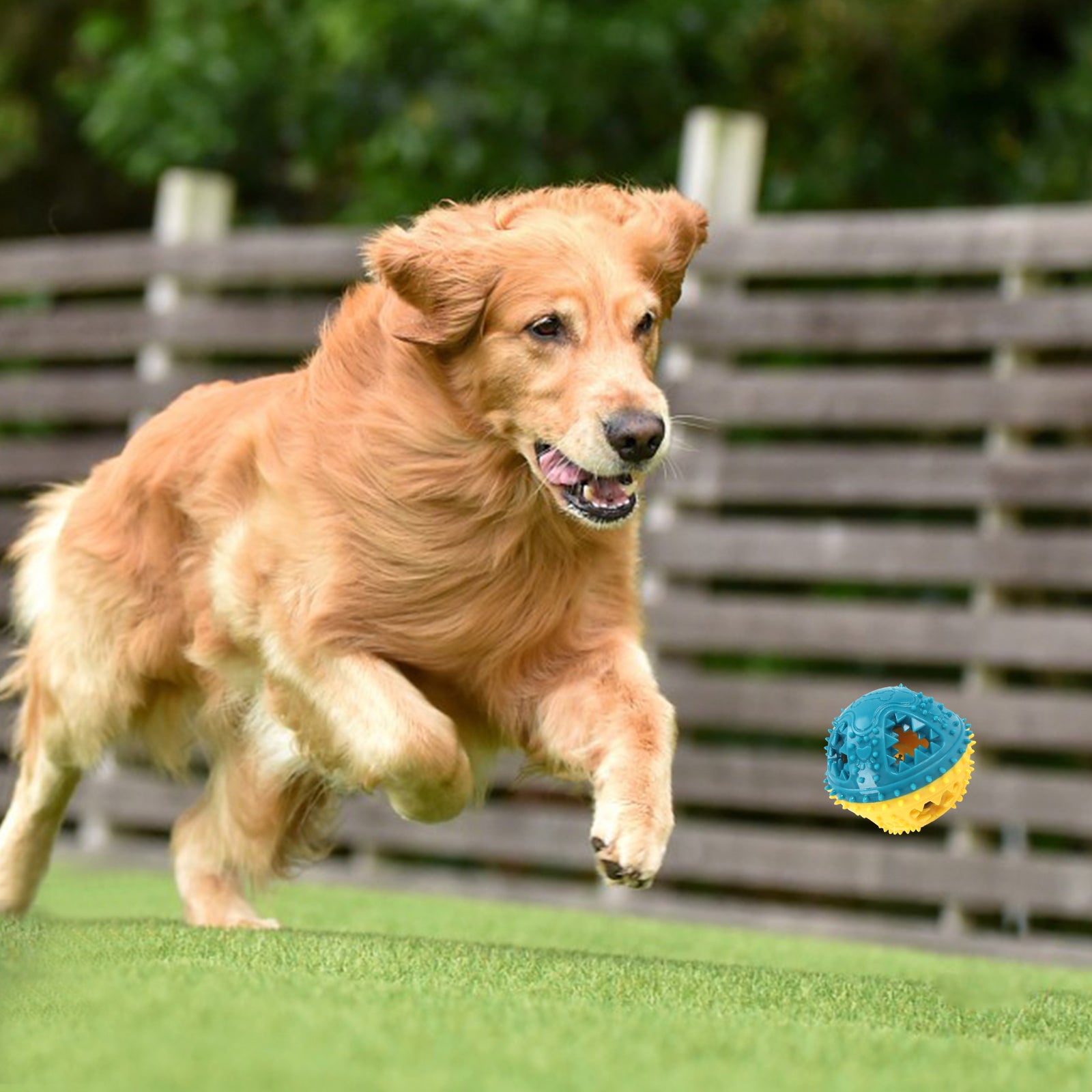 Dog Chew Toys Grinding Teeth Sound