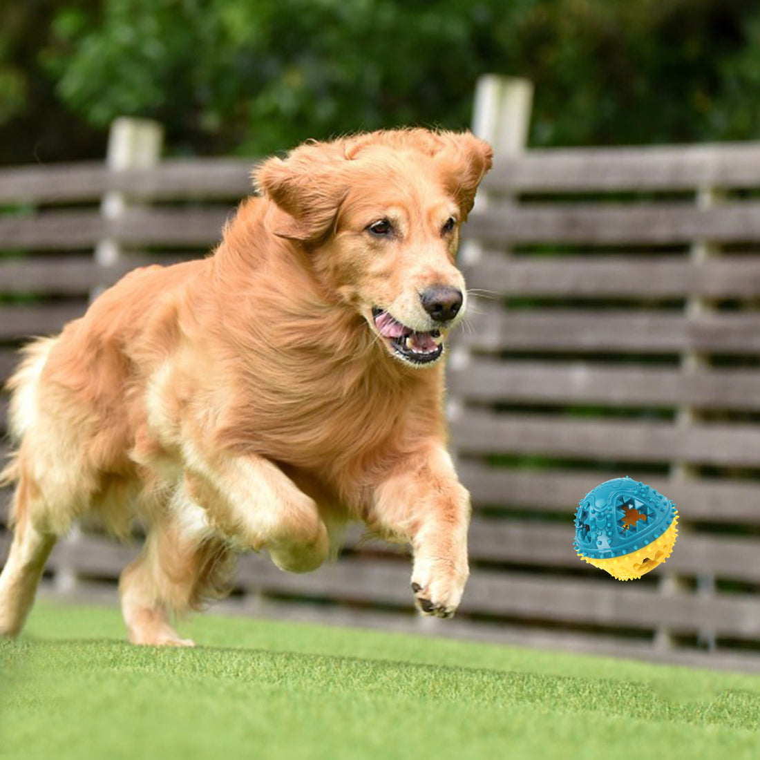 Dog Chew Toys Grinding Teeth Sound