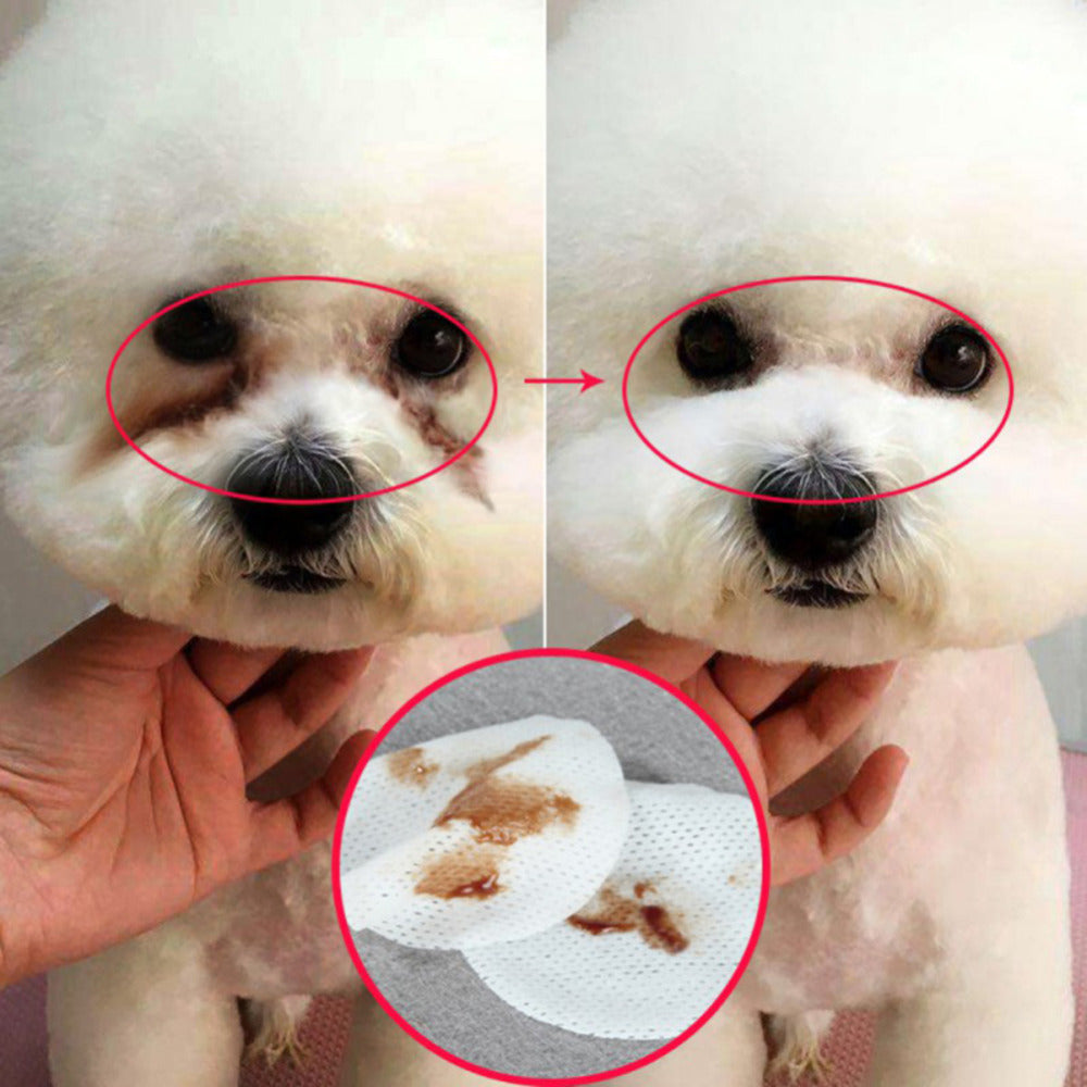 Pet Eye Grooming Hygienic Wipes