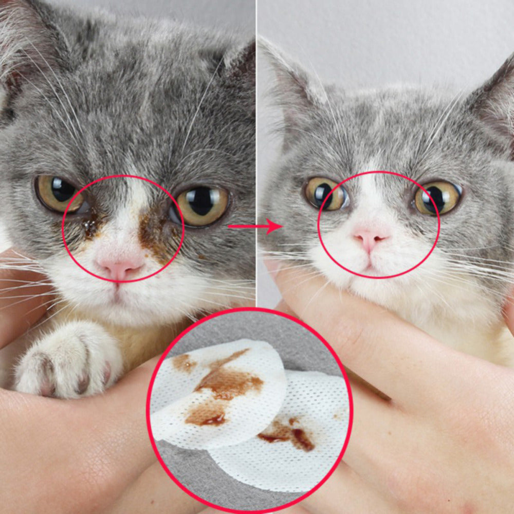 Pet Eye Grooming Hygienic Wipes
