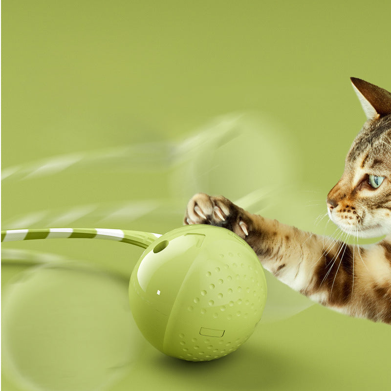 Interactive Electric Balls Pet Toy