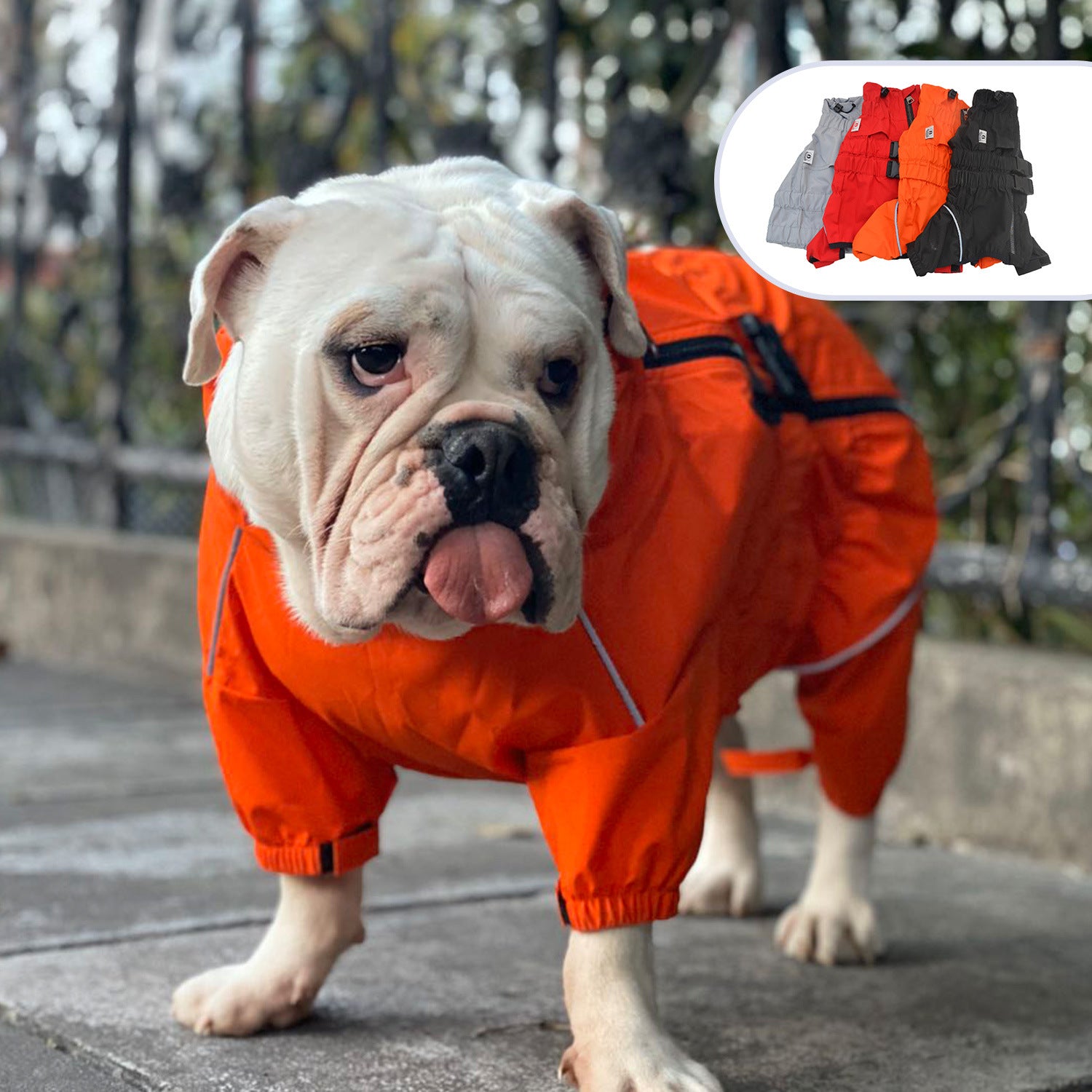 Four-legged Dog Outdoor Clothing Raincoat