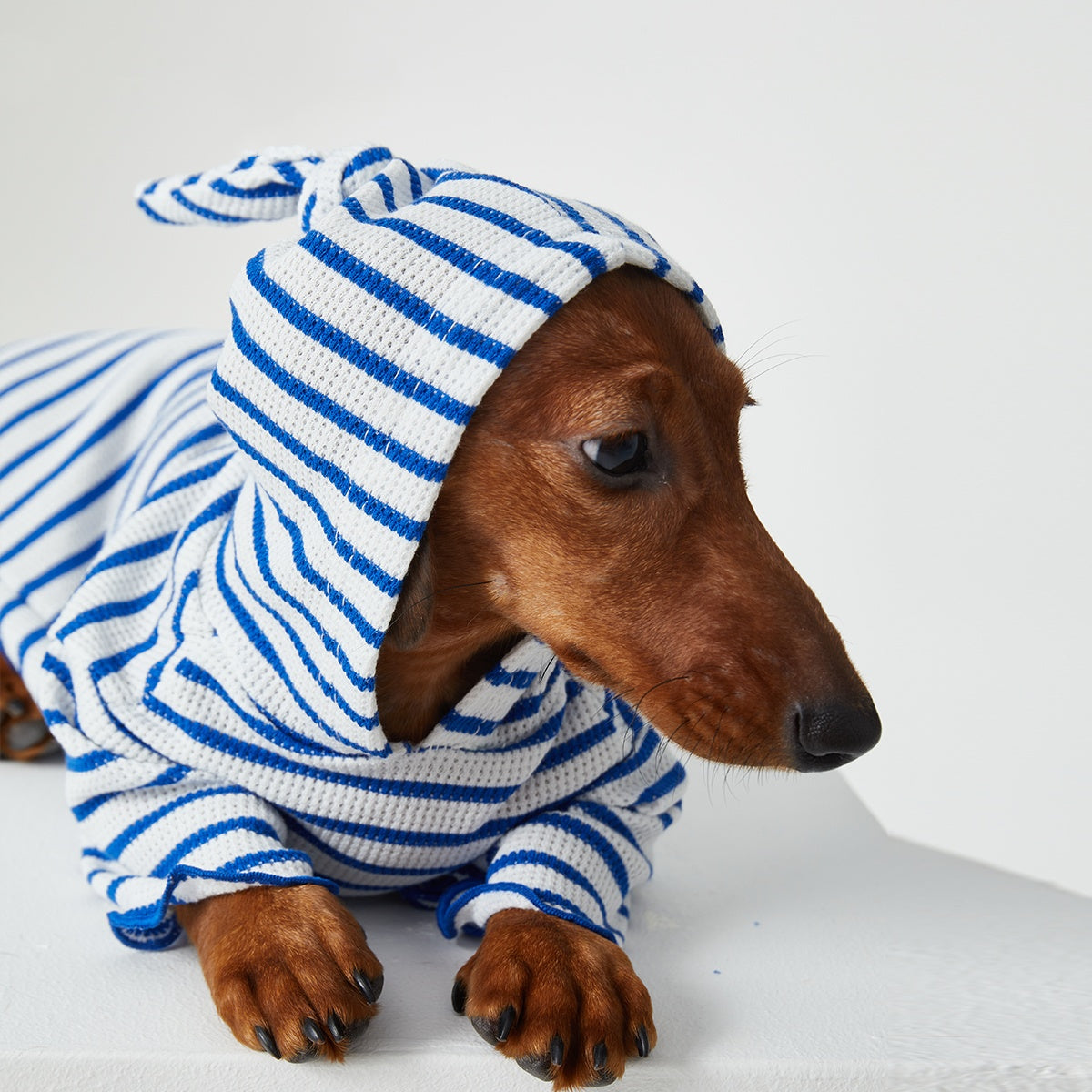 Dog Cat Pet Clothes Striped Hooded