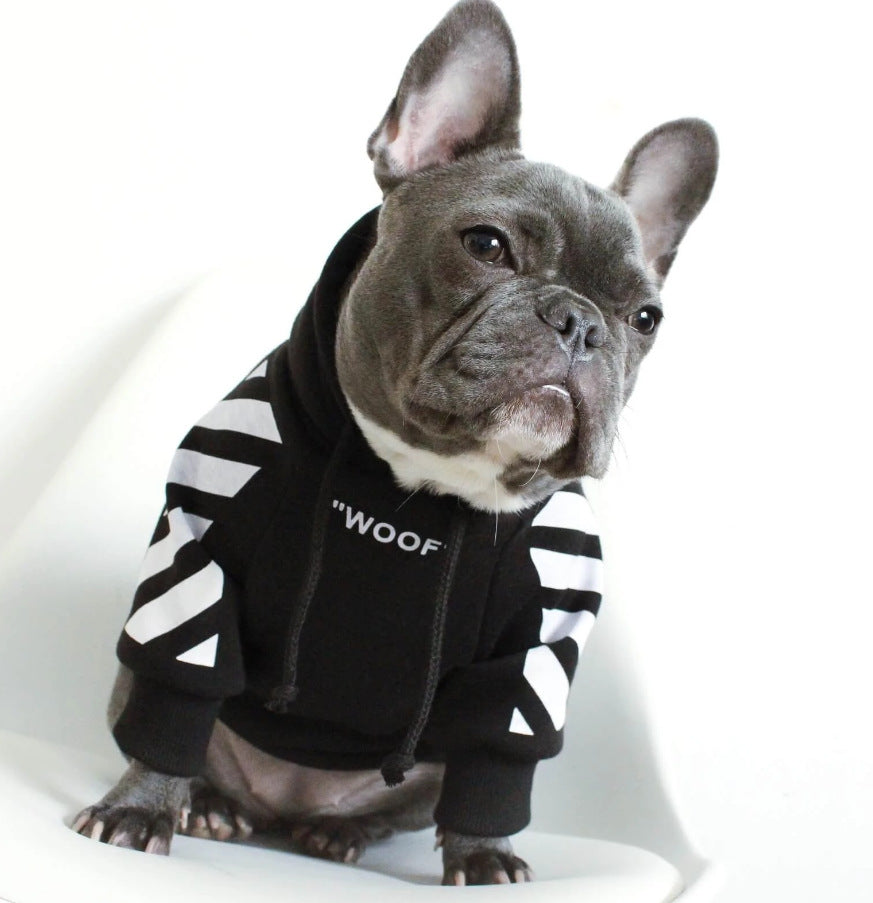 Corgi Schnauzer pet fashion brand