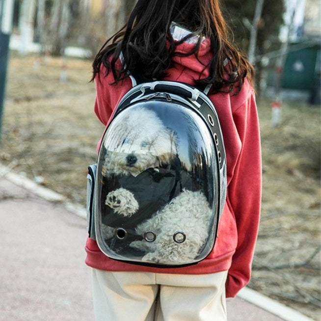Rear Expandable Transparent Mesh Pet Backpack