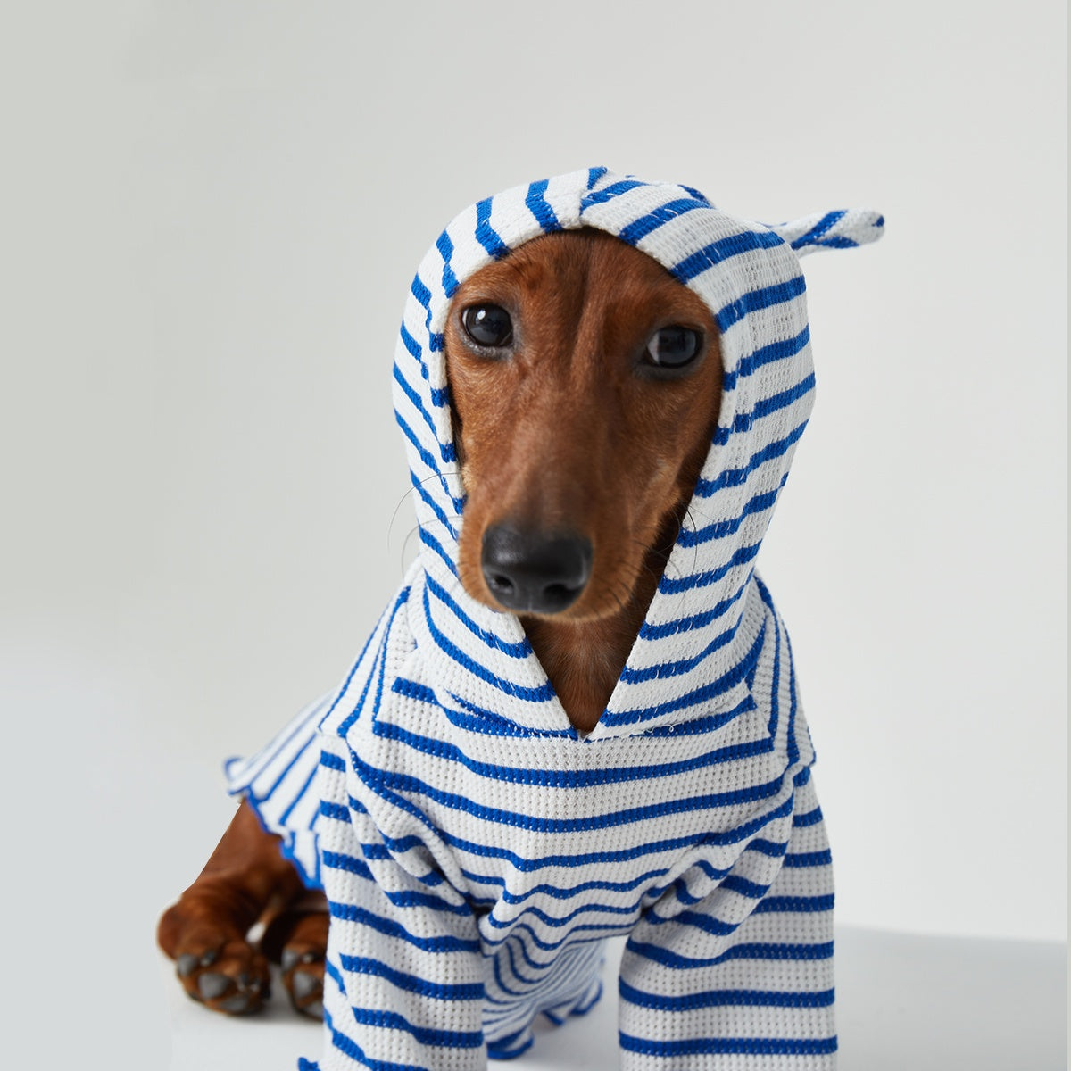 Dog Cat Pet Clothes Striped Hooded