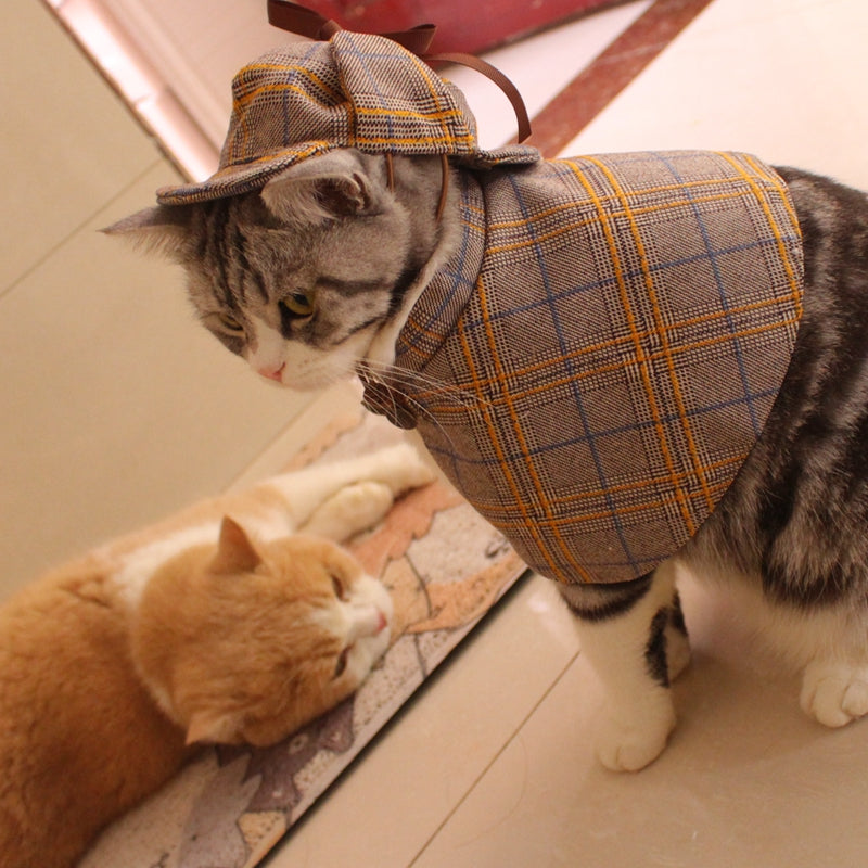 Cloak Hat Suit Funny Cat Clothes