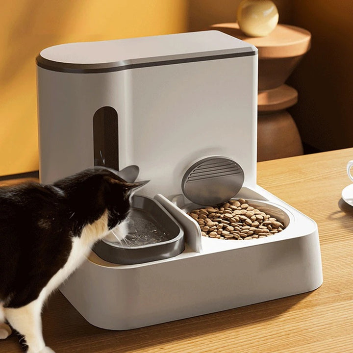 Cat Automatic Pet Feeder Water Dispenser