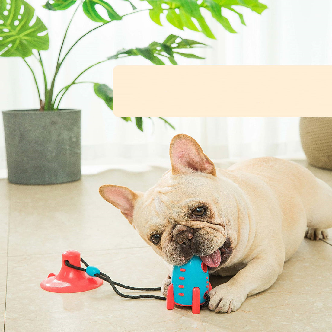 Rocket Dog Leaking Food Dog Bite Toys