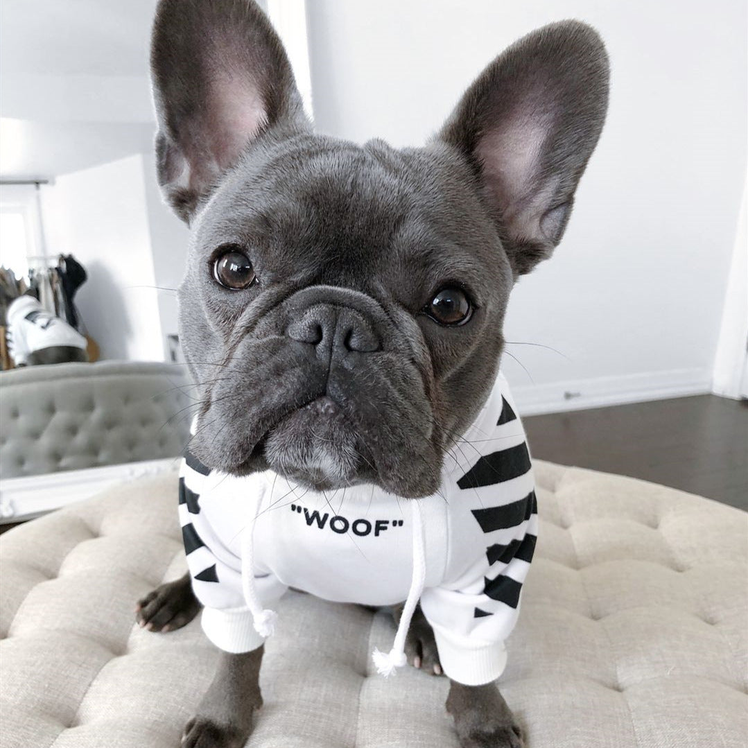 Corgi Schnauzer pet fashion brand