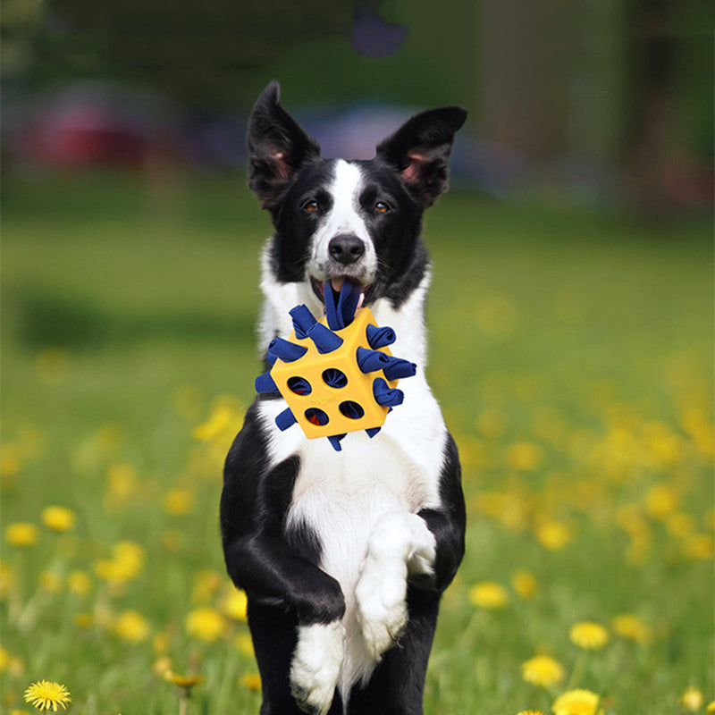 Lasting Educational Toys Pet Products