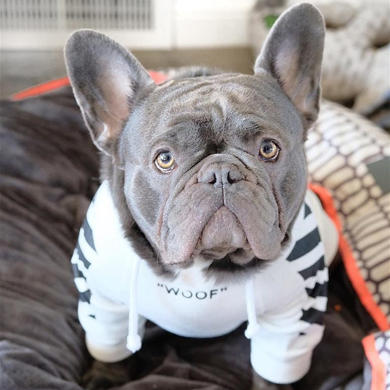 Corgi Schnauzer pet fashion brand