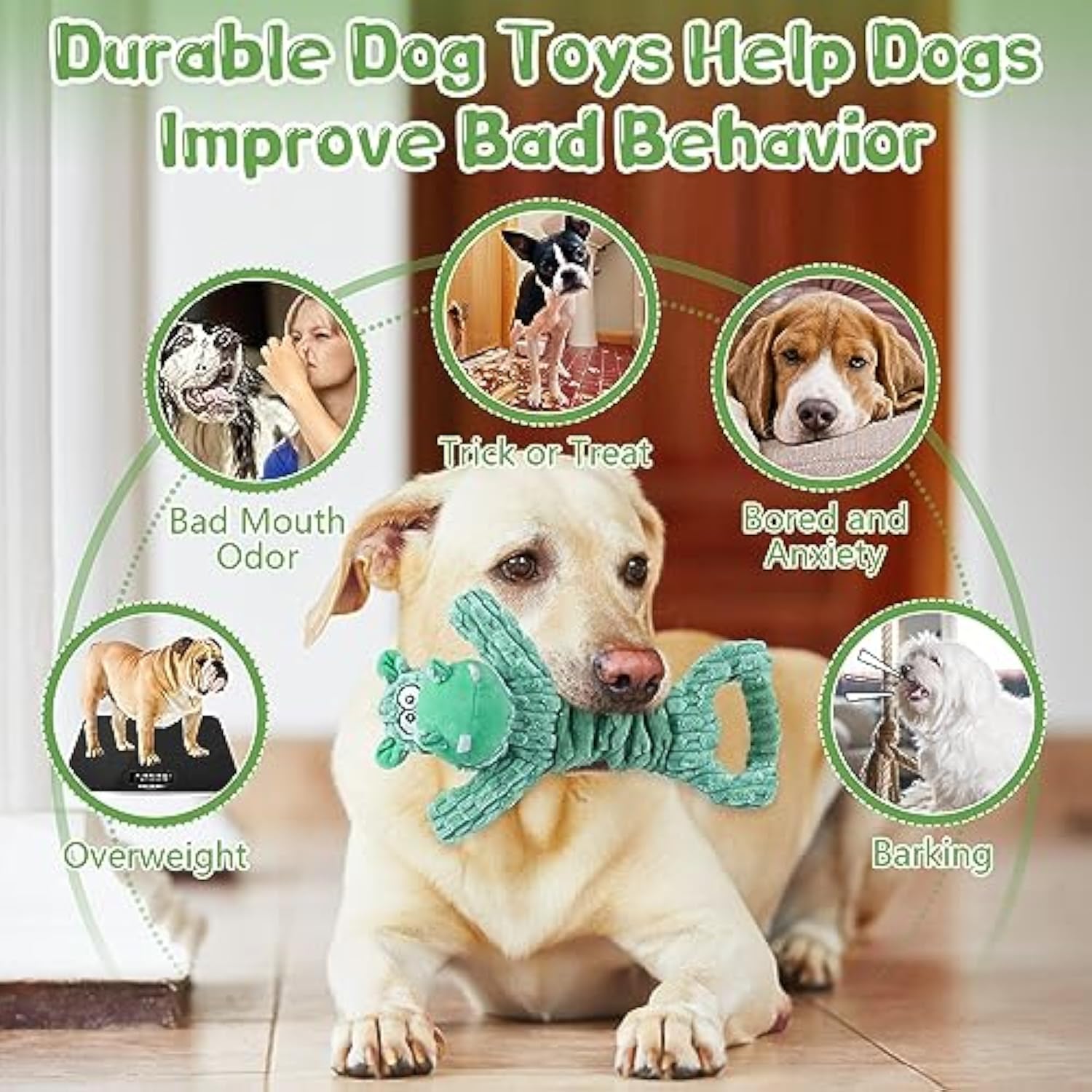 Large Squeaky Plush Dog Toys