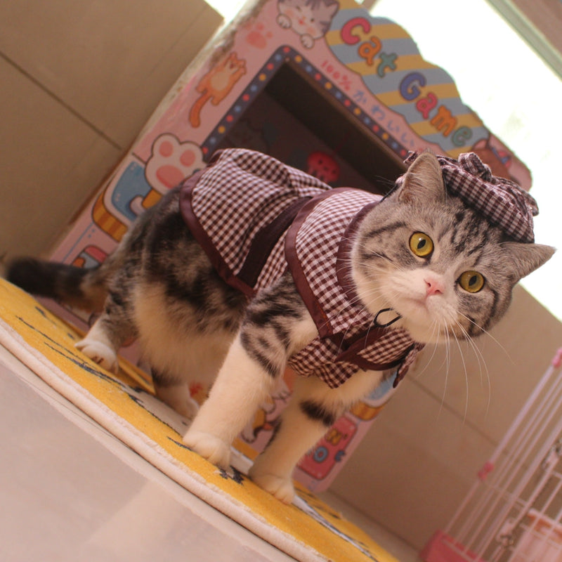 Cloak Hat Suit Funny Cat Clothes
