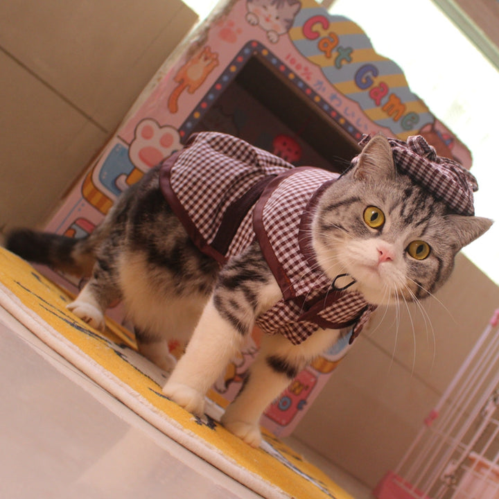 Cloak Hat Suit Funny Cat Clothes