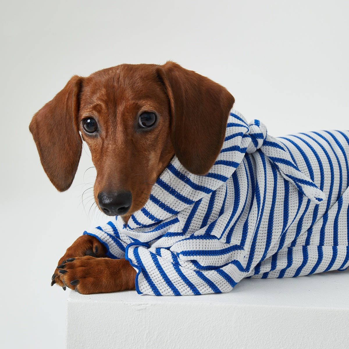 Dog Cat Pet Clothes Striped Hooded
