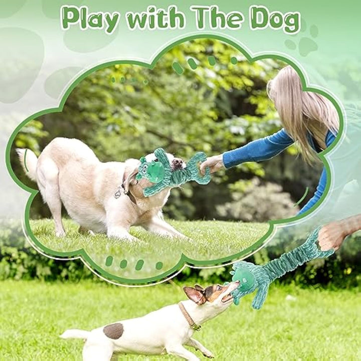 Large Squeaky Plush Dog Toys