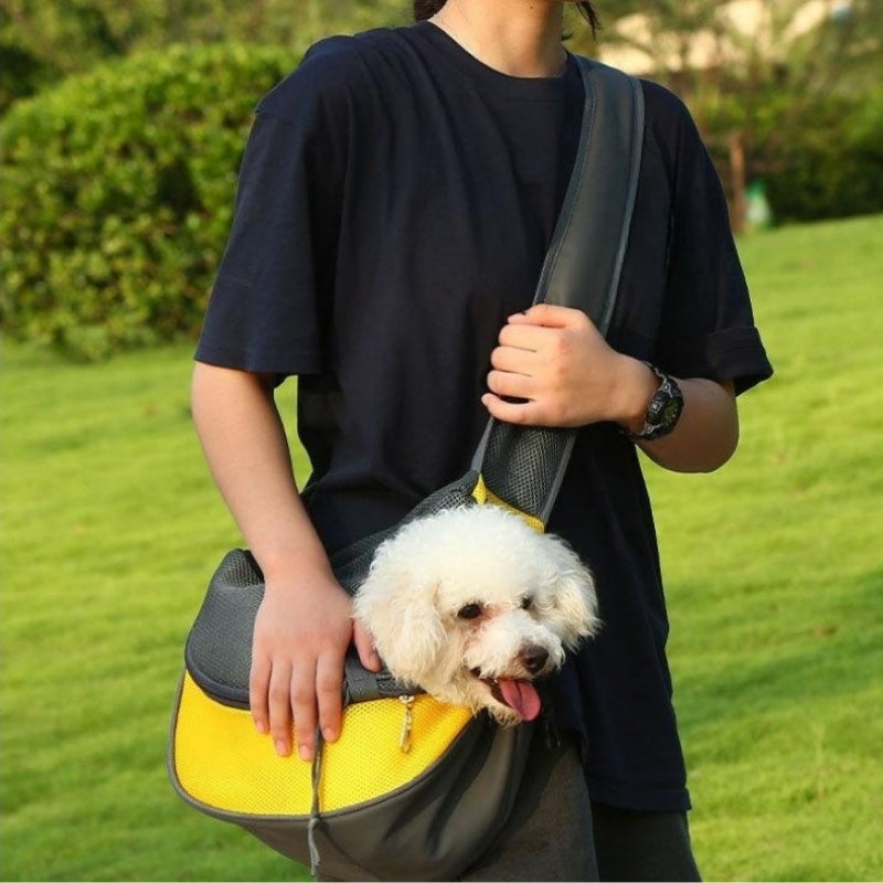 Travel Mesh Oxford Pet Puppy Carrier