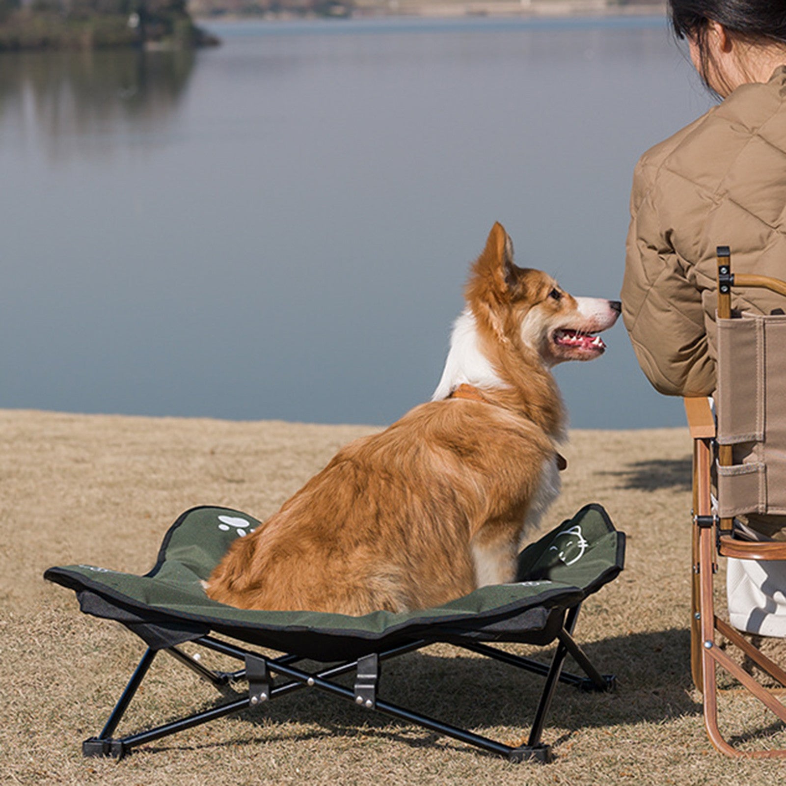 Outdoor pet folding bed