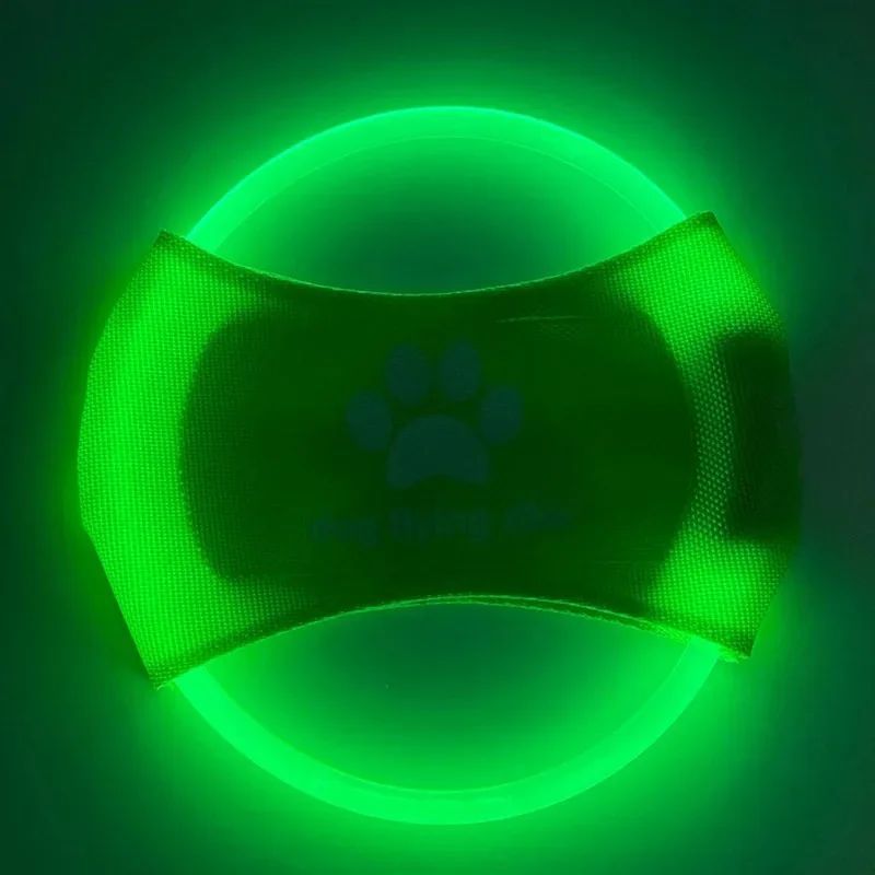 Luminous Trainning Interactive Toys Game