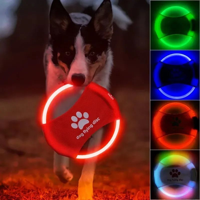 Luminous Trainning Interactive Toys Game