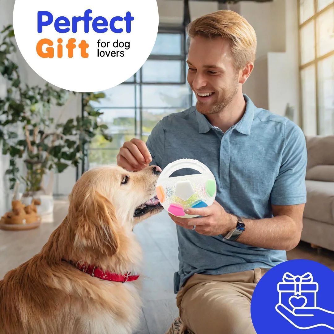 Tennis Ball Shaped Pet Dog Toys
