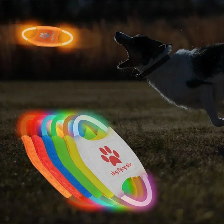Luminous Trainning Interactive Toys Game