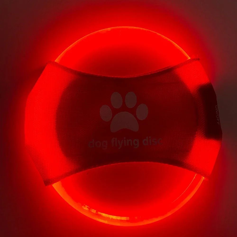 Luminous Trainning Interactive Toys Game