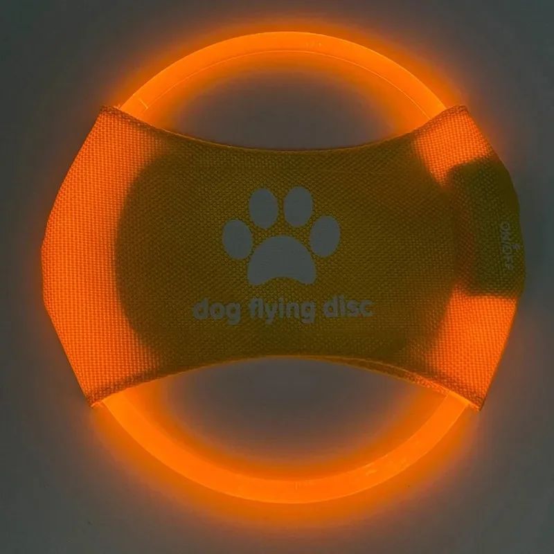 Luminous Trainning Interactive Toys Game