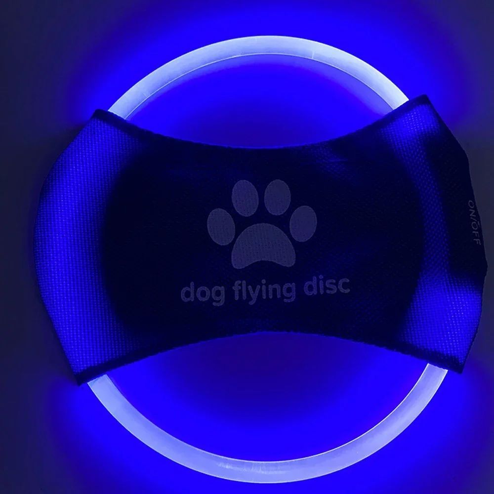 Luminous Trainning Interactive Toys Game