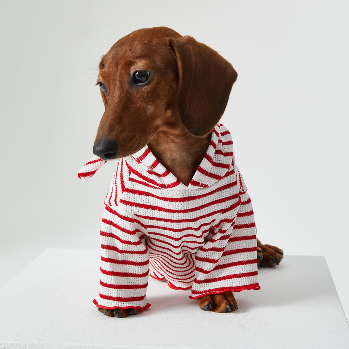 Dog Cat Pet Clothes Striped Hooded