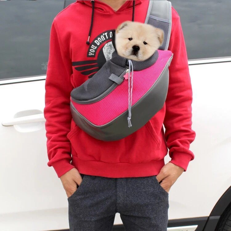 Travel Mesh Oxford Pet Puppy Carrier
