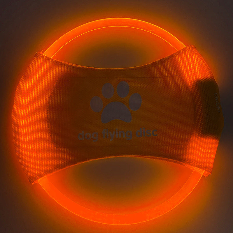Luminous Trainning Interactive Toys Game
